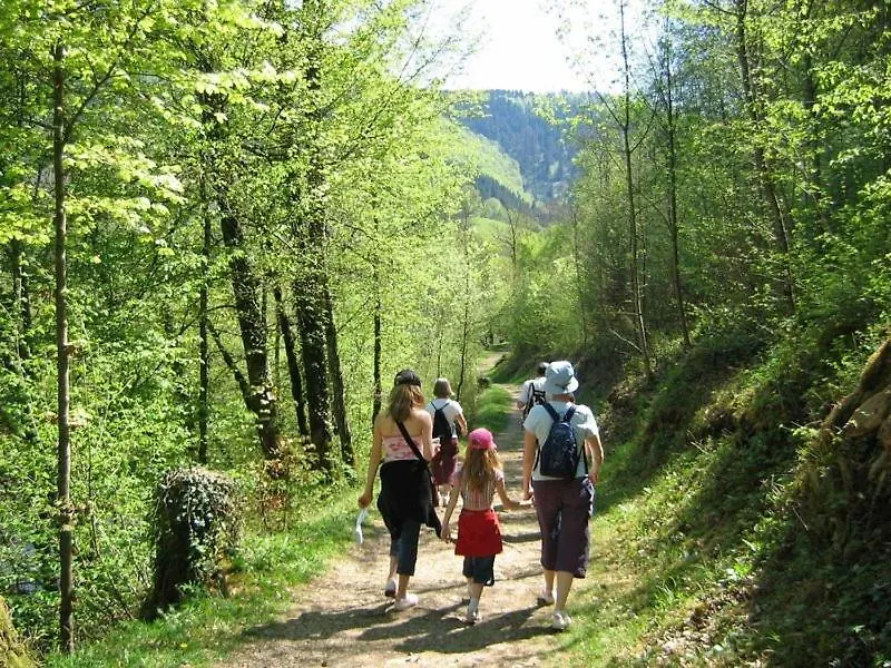 Hotel Et Residence Des Bains Vic-sur-Cère