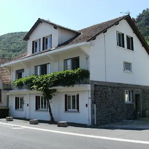 Les Glycines Vic-sur-Cère